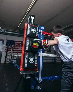 TITLE Combination Punching Pad