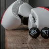 TITLE Equipment Deodorizer Balls