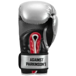 TITLE Fight Back Boxing Gloves