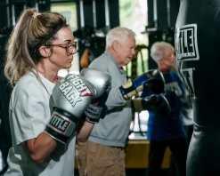 TITLE Fight Back Boxing Gloves