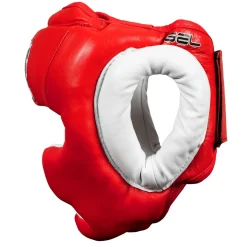 TITLE GEL World Full Face Training Headgear