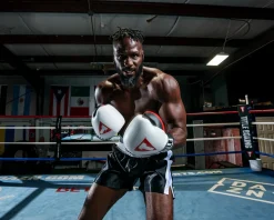 TITLE Great Official Pro Fight Gloves