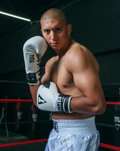 TITLE Great Official Pro Fight Gloves