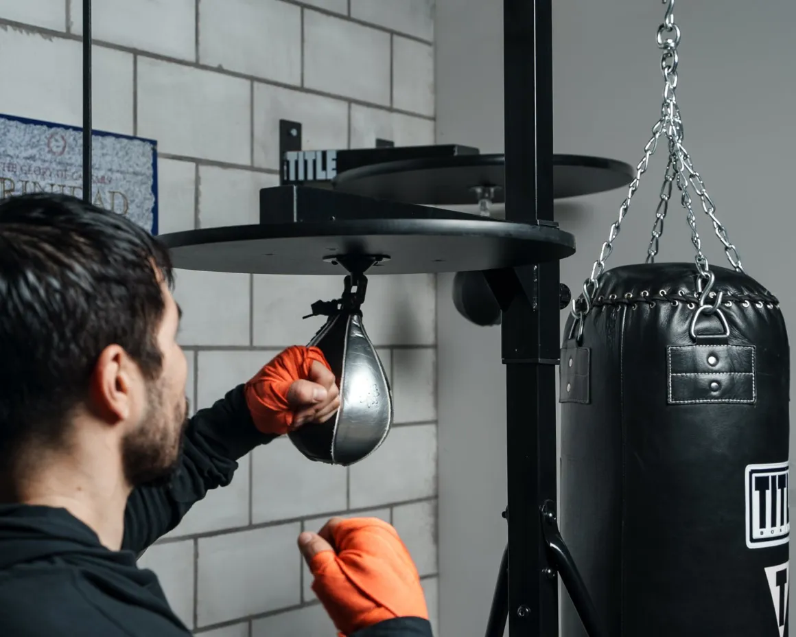 TITLE Heavy Bag And Speed Bag Stand