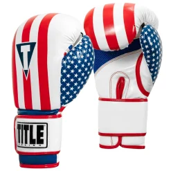 TITLE Infused Foam Combat USA Training Gloves