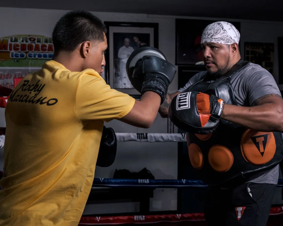 TITLE Ionic Strike Punch Mitts