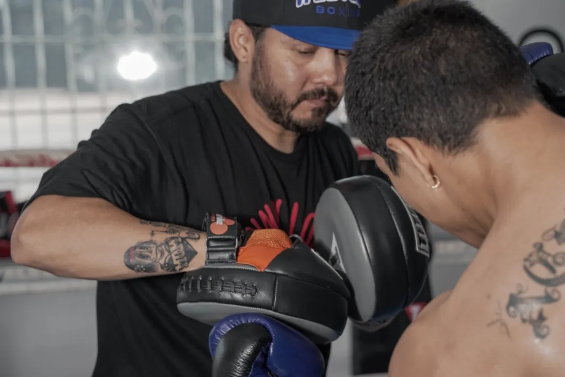 TITLE Ionic Strike Punch Mitts
