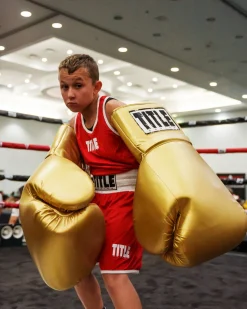 TITLE Jumbo Boxing Gloves 2.0