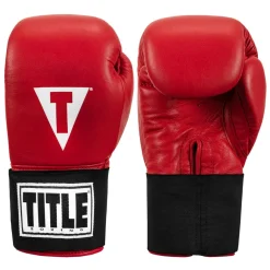 TITLE Masters USA Boxing Competition Gloves - Elastic