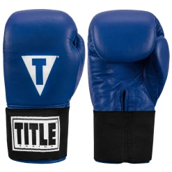 TITLE Masters USA Boxing Competition Gloves - Elastic