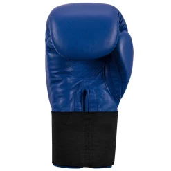 TITLE Masters USA Boxing Competition Gloves - Elastic