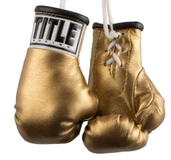 TITLE 3.5” MINI BOXING GLOVES