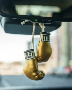 TITLE 3.5” MINI BOXING GLOVES