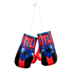 TITLE 5” MINI BOXING GLOVES