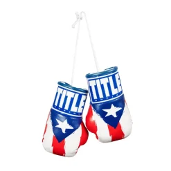 TITLE 5” MINI BOXING GLOVES