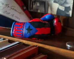 TITLE 5” MINI BOXING GLOVES