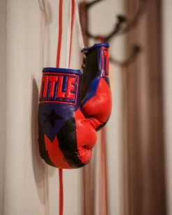 TITLE 5” MINI BOXING GLOVES