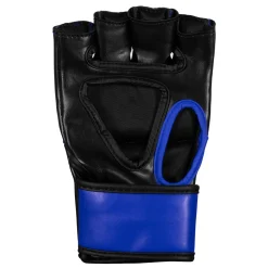 TITLE MMA Fight Gloves