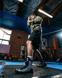 TITLE Predator Boxing Shoes 2.0