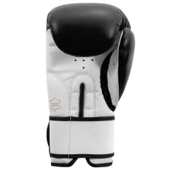 TITLE Premier Leather Super Bag Boxing Gloves 2.0