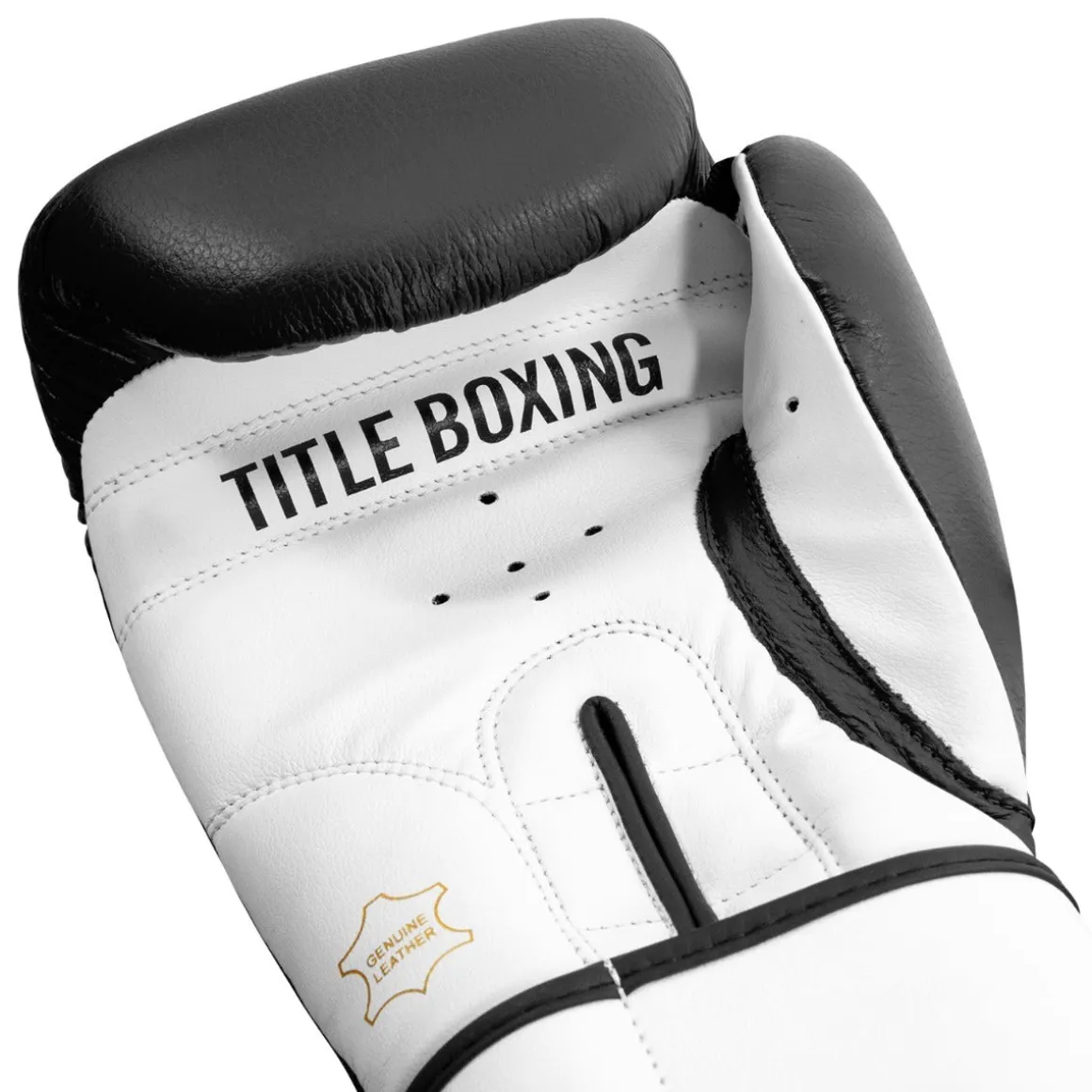 TITLE Premier Leather Super Bag Boxing Gloves 2.0