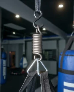 TITLE Professional Heavy Bag Spring (Up To 250 lbs)