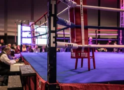 TITLE Professional Ring Stairs