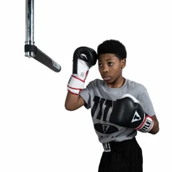 TITLE Rapid-Reflex Boxing Bar