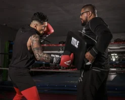 TITLE Square Punch & Kick Shield