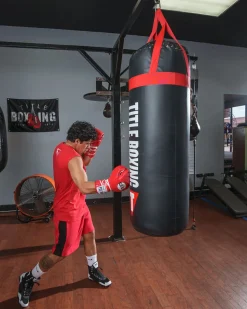 TITLE Titanic Flex-Strike Heavy Bag