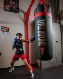 TITLE Titanic Flex-Strike Heavy Bag