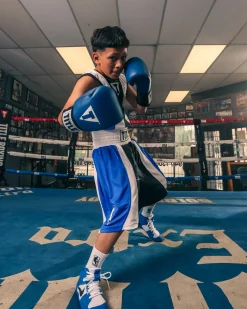 TITLE USA Boxing Competition Gloves - Elastic