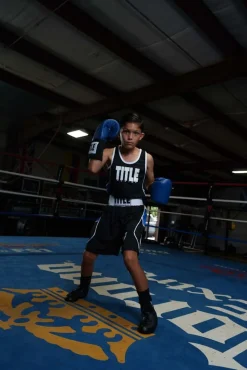 TITLE USA Boxing Competition Gloves - Elastic
