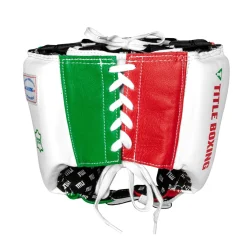 TITLE USA Boxing Competition Headgear - With Cheeks