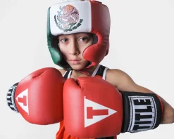 TITLE USA Boxing Competition Headgear - With Cheeks