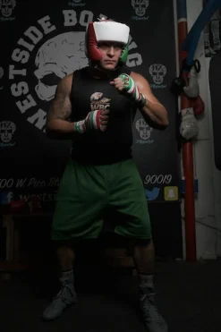 TITLE USA Boxing Competition Headgear - With Cheeks