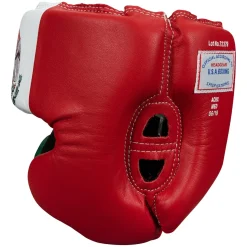 TITLE USA Boxing Competition Headgear - With Cheeks