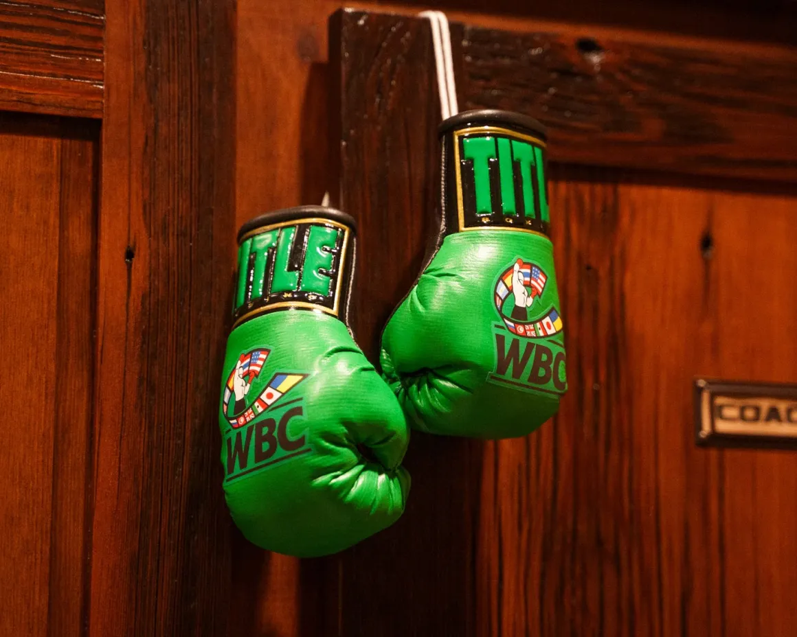 TITLE WBC Cares Mini Boxing Gloves