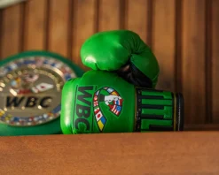 TITLE WBC Cares Mini Boxing Gloves
