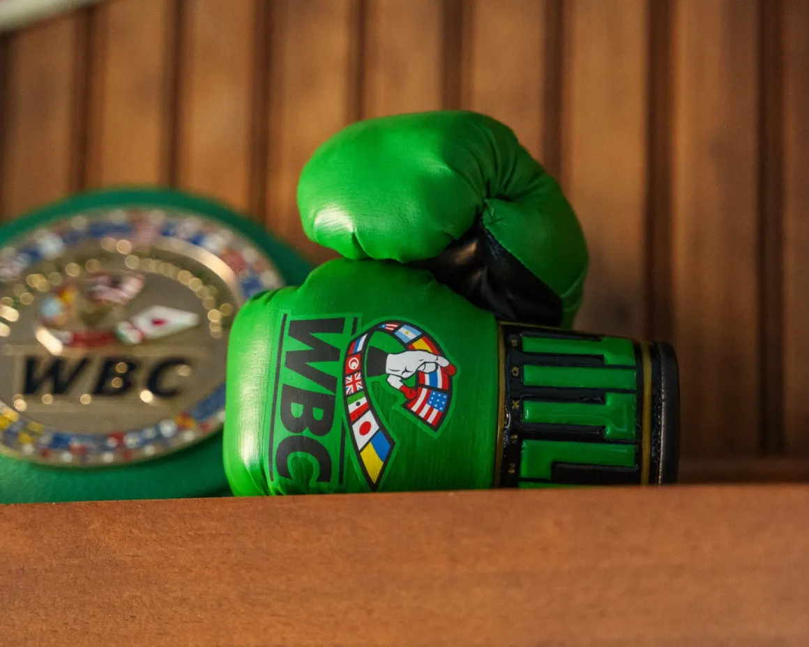 TITLE WBC Cares Mini Boxing Gloves