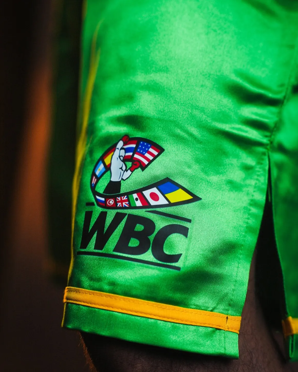 TITLE WBC Professional Boxing Trunks