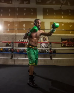 TITLE WBC Professional Boxing Trunks