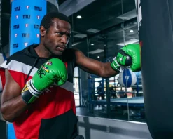TITLE WBC Pro Fight Leather Gloves