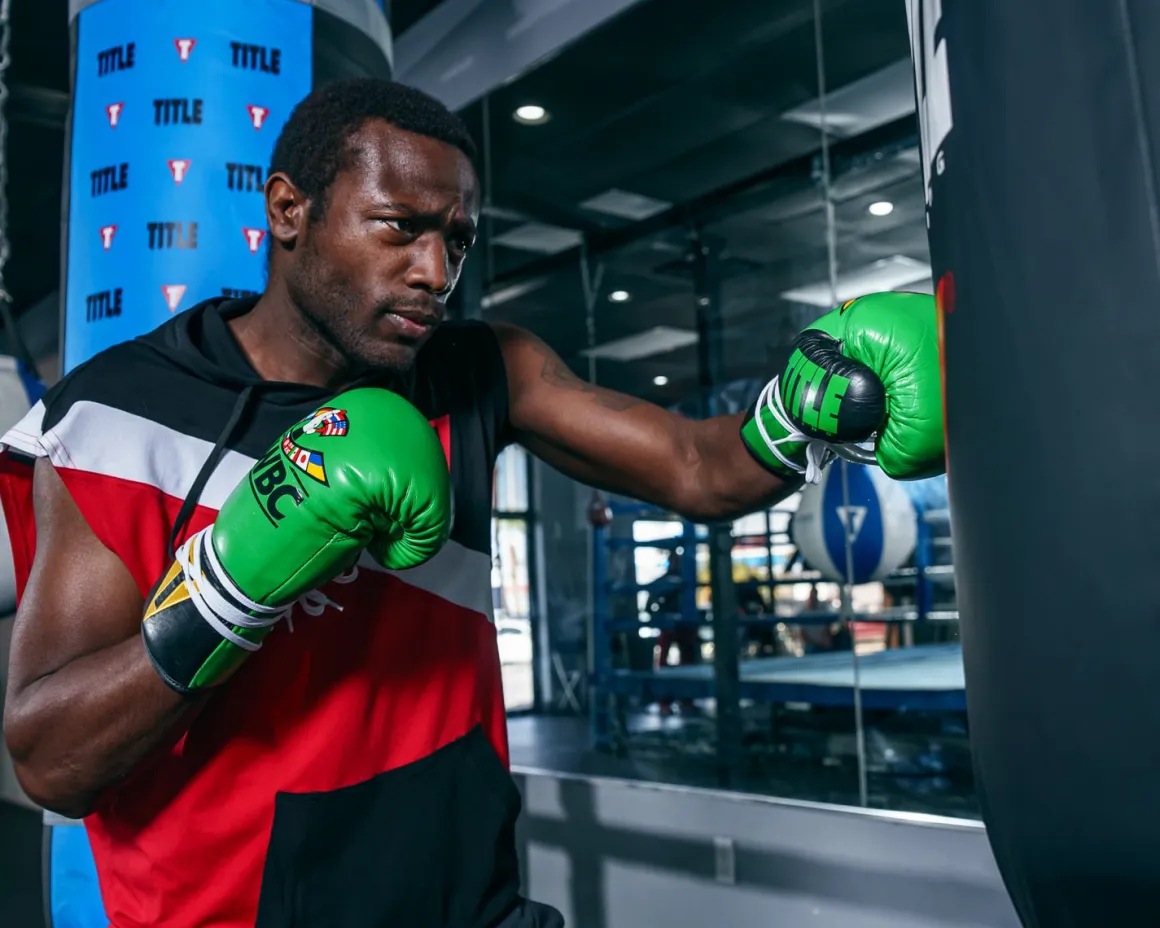 TITLE WBC Pro Fight Leather Gloves