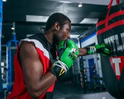 TITLE WBC Pro Fight Leather Gloves