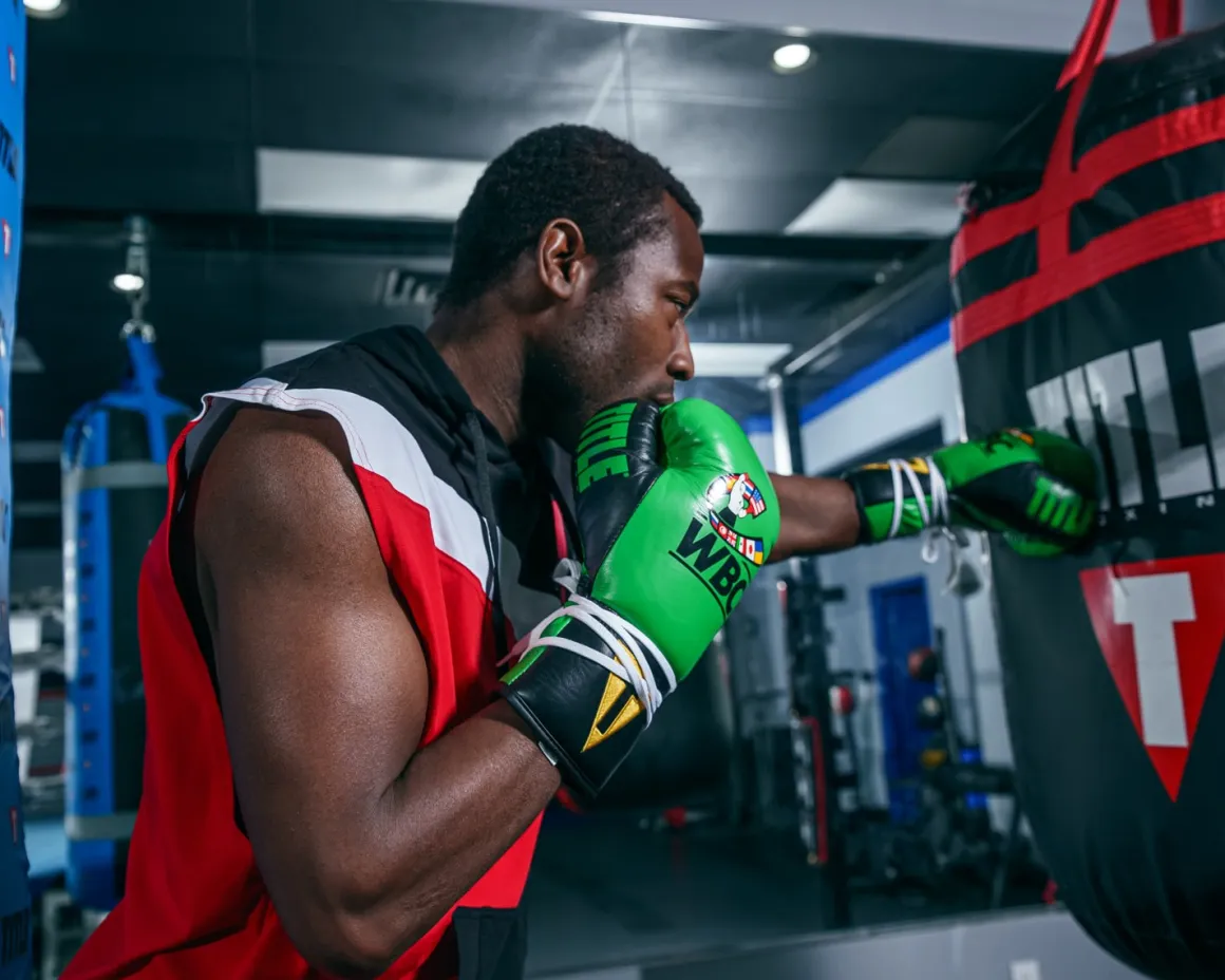 TITLE WBC Pro Fight Leather Gloves