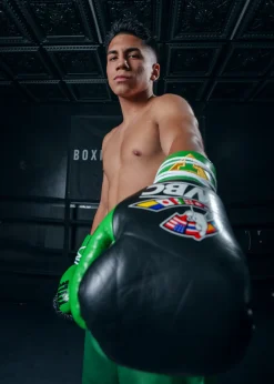 TITLE WBC Pro Fight Leather Gloves
