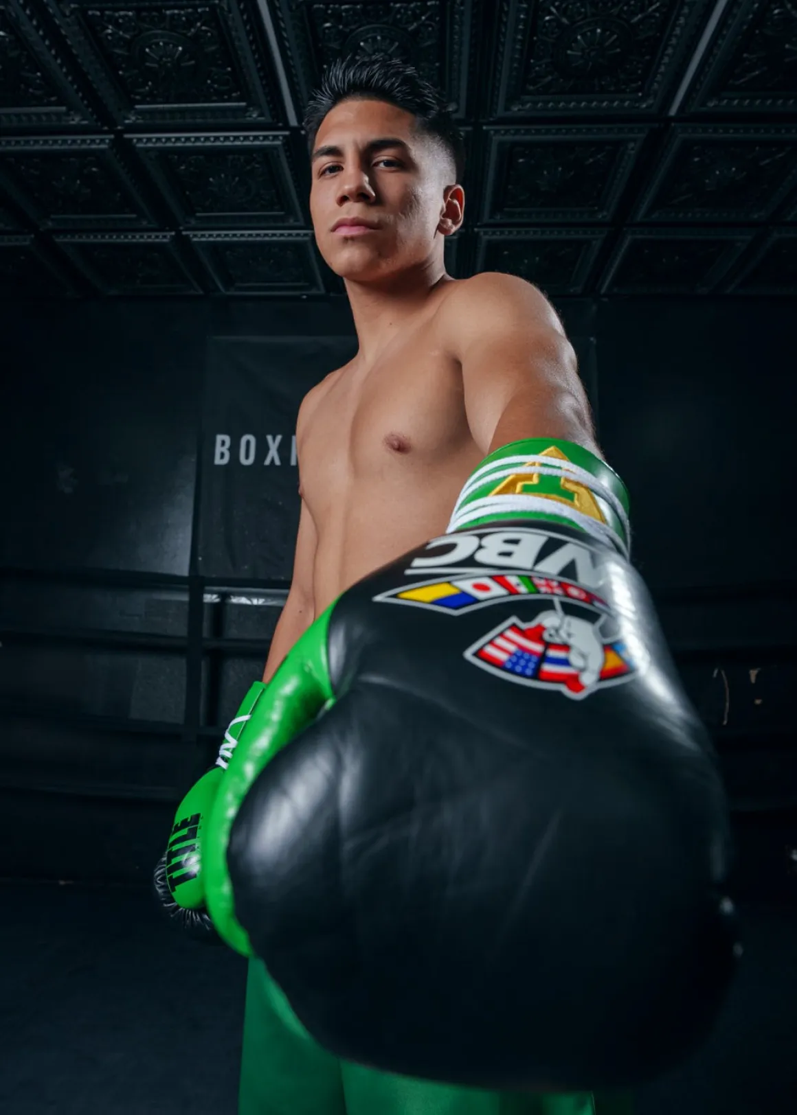 TITLE WBC Pro Fight Leather Gloves