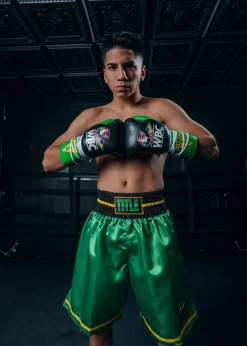TITLE WBC Pro Fight Leather Gloves