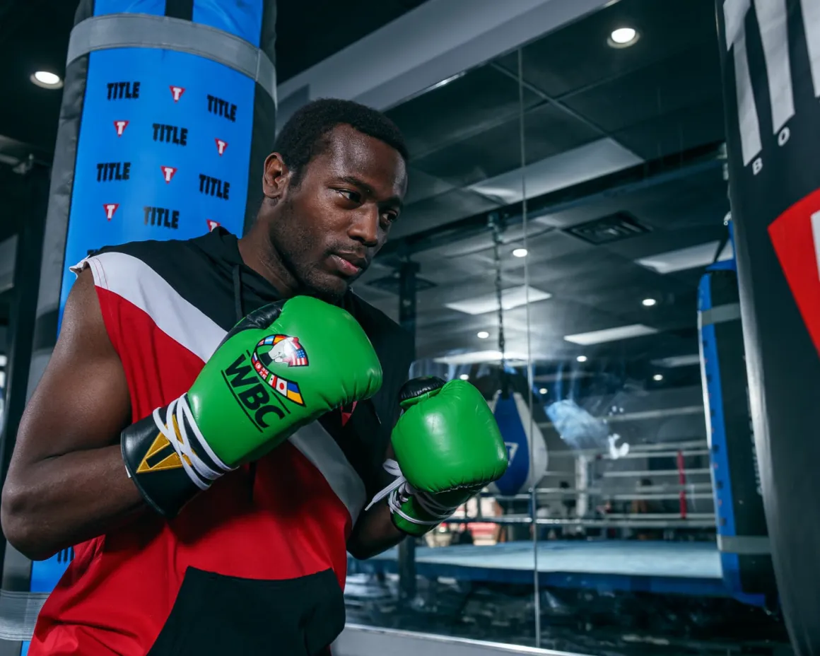 TITLE WBC Pro Fight Leather Gloves
